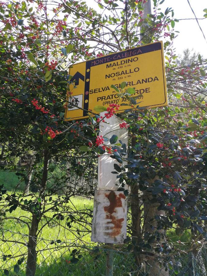 Agriturismo Nona Emma Piano Porlezza Eksteriør bilde
